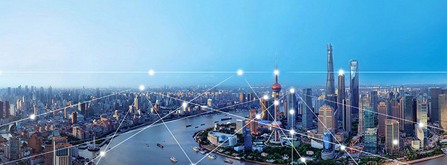 开云最新网页登录